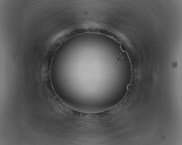 X0000093381063200710111450
