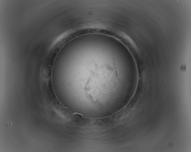 X0000093381064200710111450