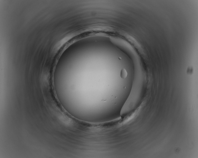 X0000093381065200710111450