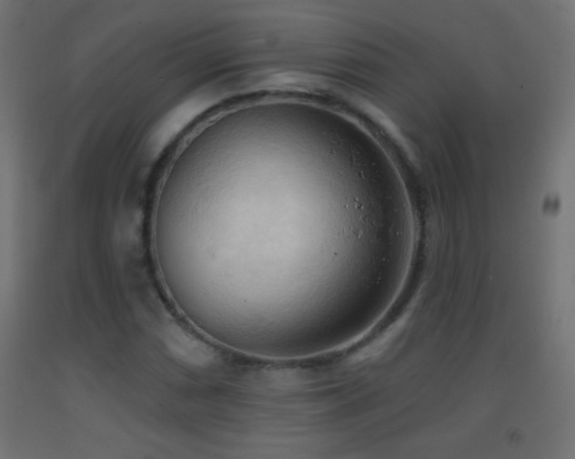 X0000093381066200710111450