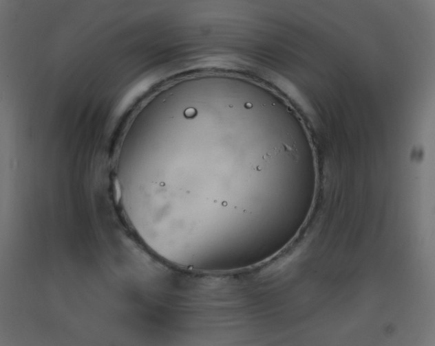X0000093381067200710111450