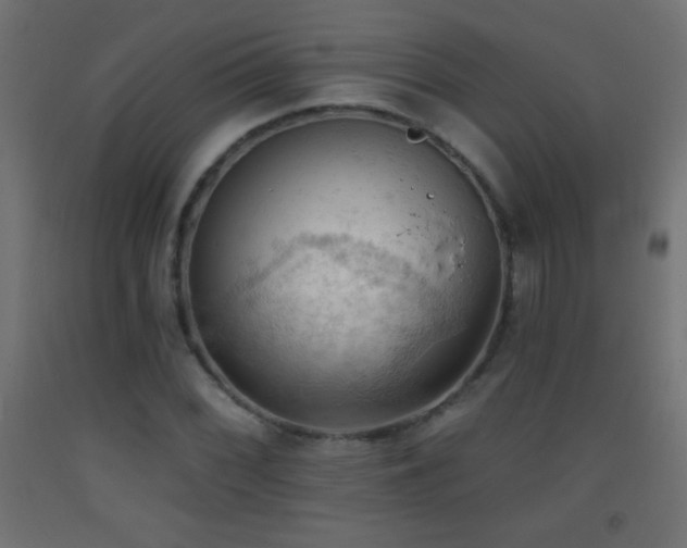 X0000093381068200710111450