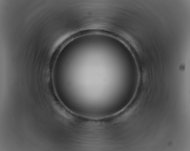 X0000093381069200710111450