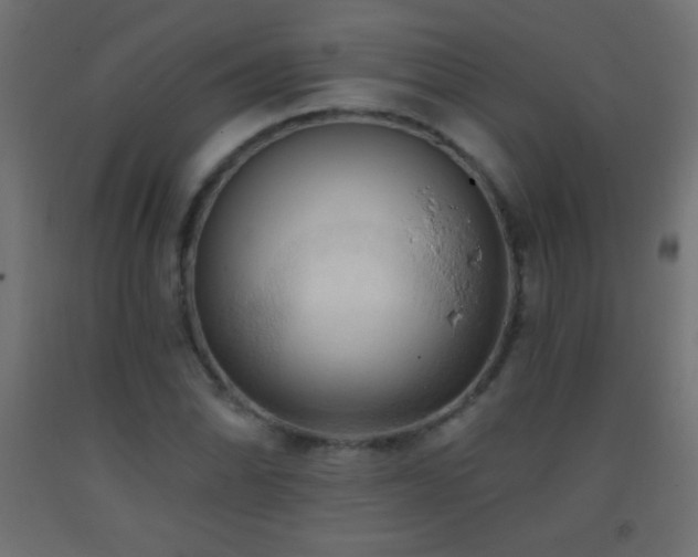 X0000093381070200710111450