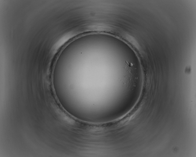 X0000093381071200710111450