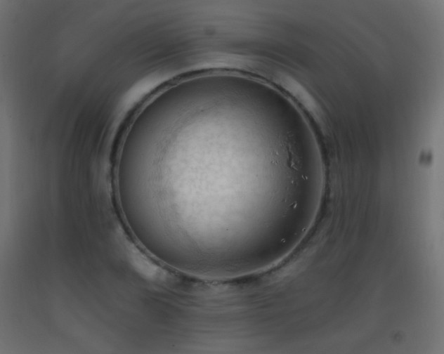 X0000093381072200710111450