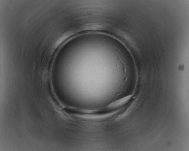 X0000093381073200710111450