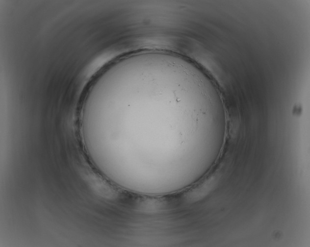 X0000093381074200710111450