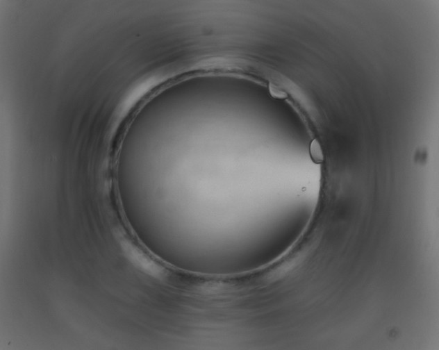 X0000093381075200710111450