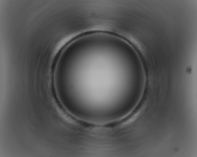 X0000093381077200710111450