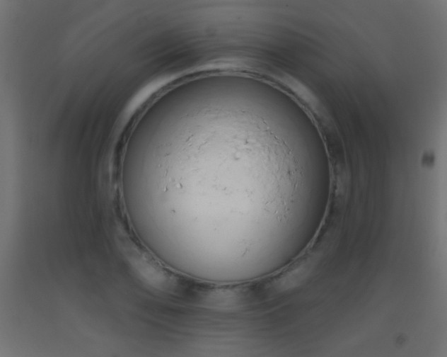 X0000093381078200710111450