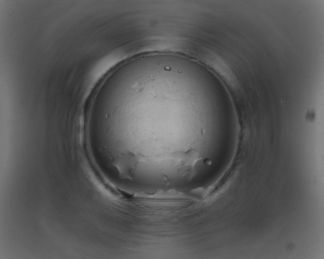 X0000093381079200710111450