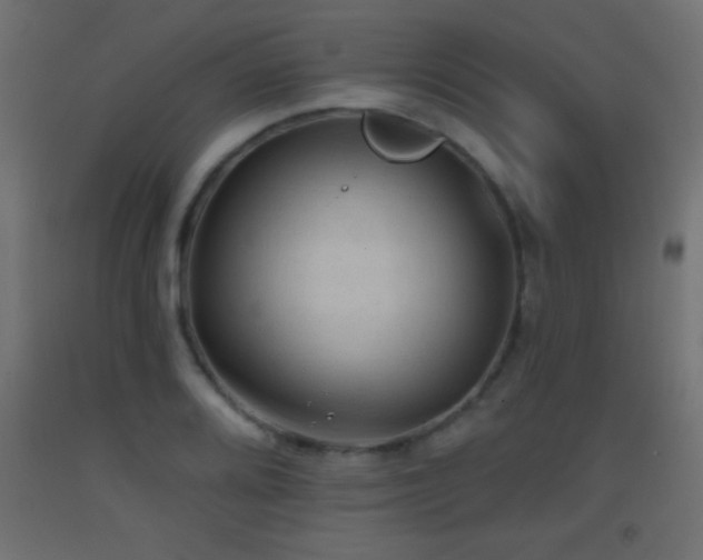 X0000093381080200710111450