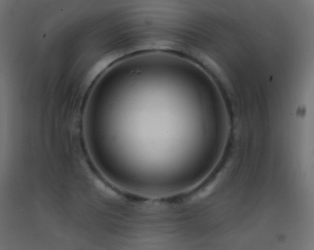 X0000093381081200710111450