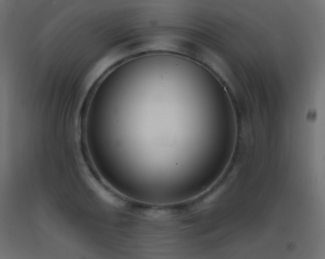 X0000093381082200710111450