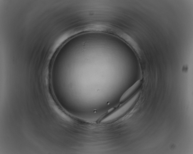 X0000093381083200710111450