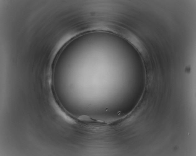 X0000093381084200710111450