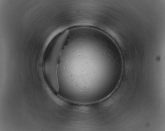 X0000093381085200710111450