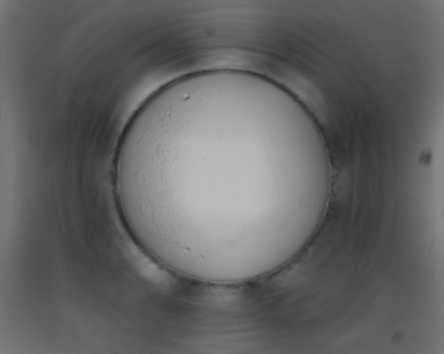 X0000093381086200710111450