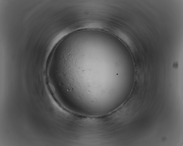 X0000093381087200710111450