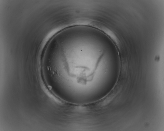 X0000093381088200710111450