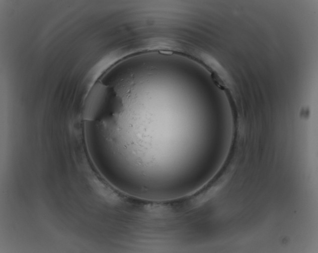 X0000093381089200710111450