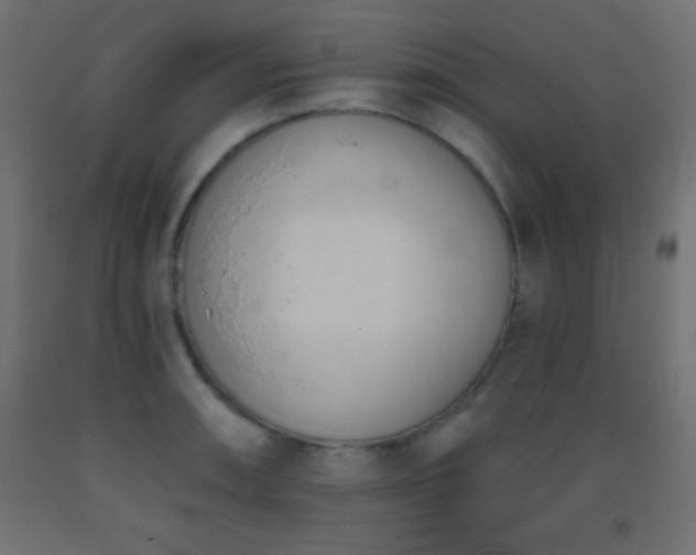 X0000093381090200710111450