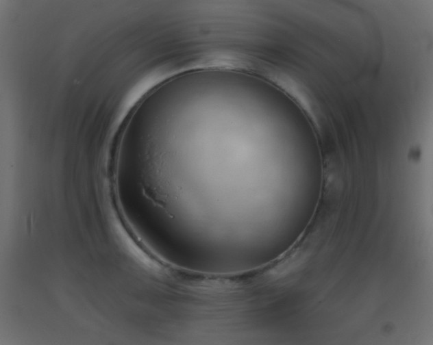 X0000093381091200710111450