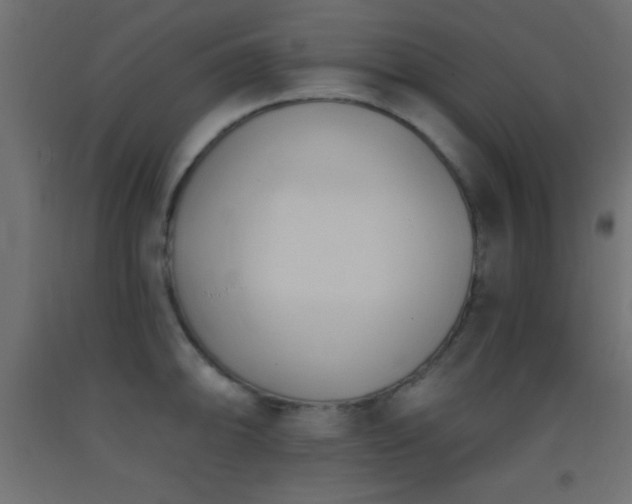 X0000093381094200710111450