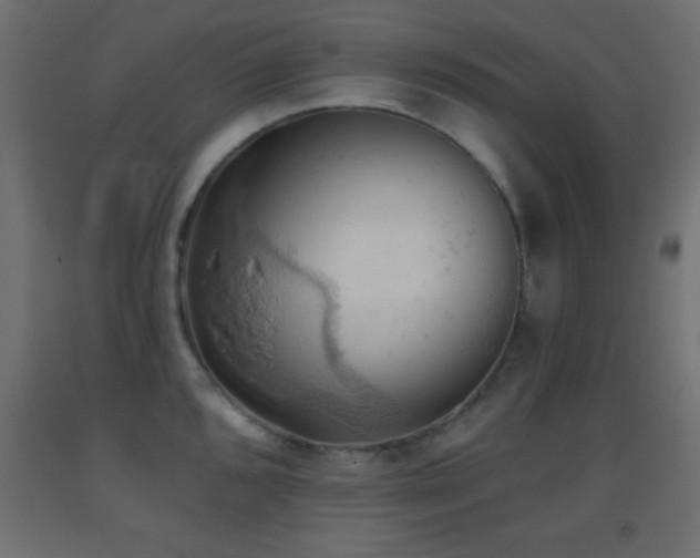 X0000093381096200710111450