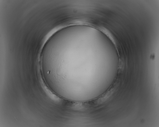 X0000093381098200710111450