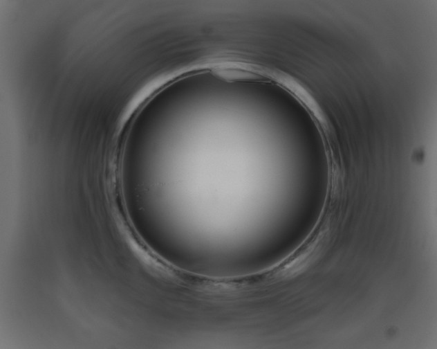 X0000093381101200710111450