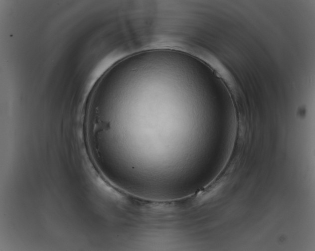 X0000093381102200710111450