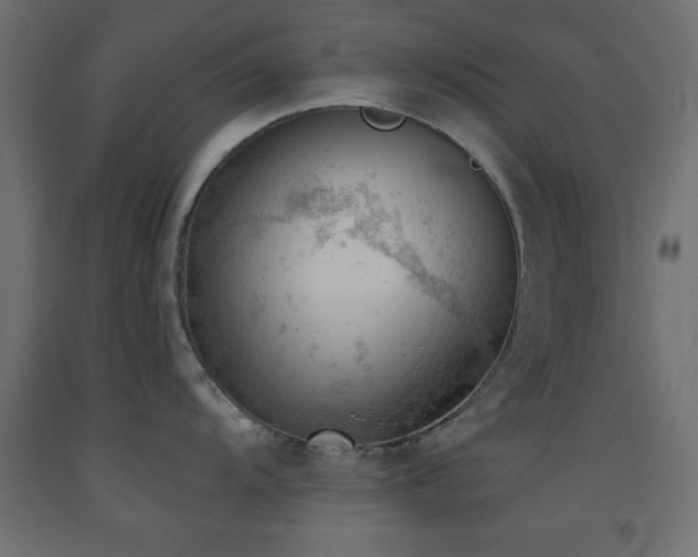 X0000093381104200710111450