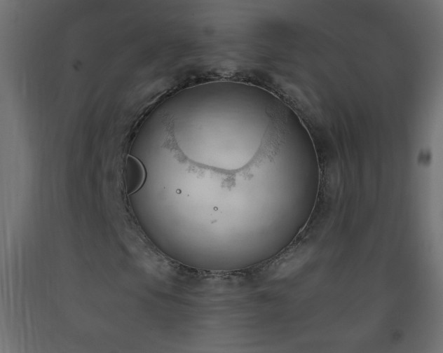 X0000093381105200710111449