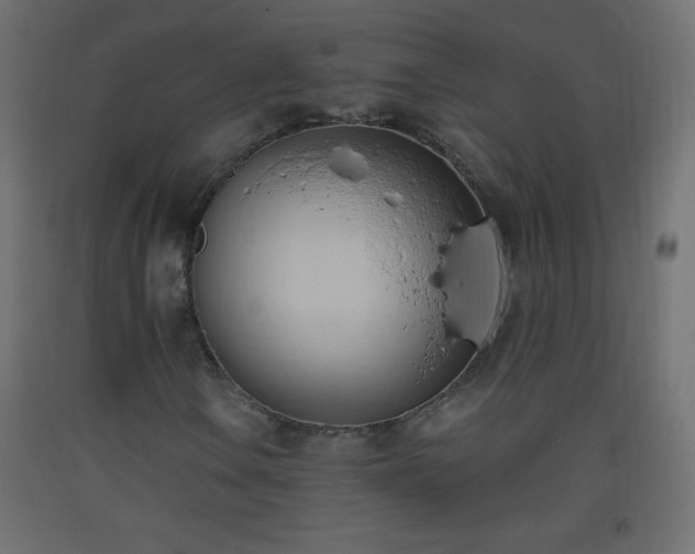 X0000093381106200710111449