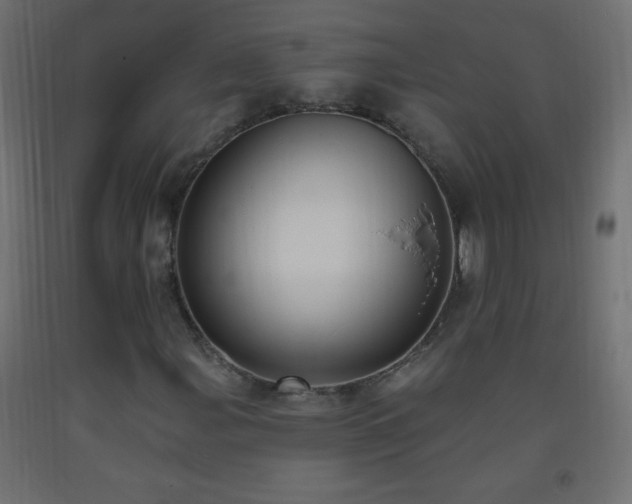 X0000093381107200710111449
