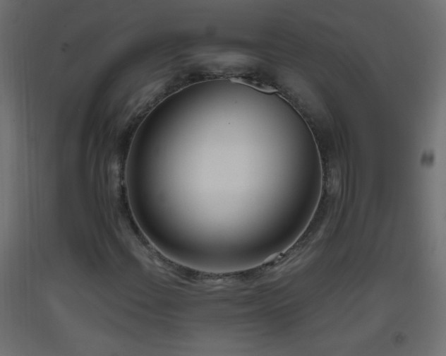 X0000093381108200710111449