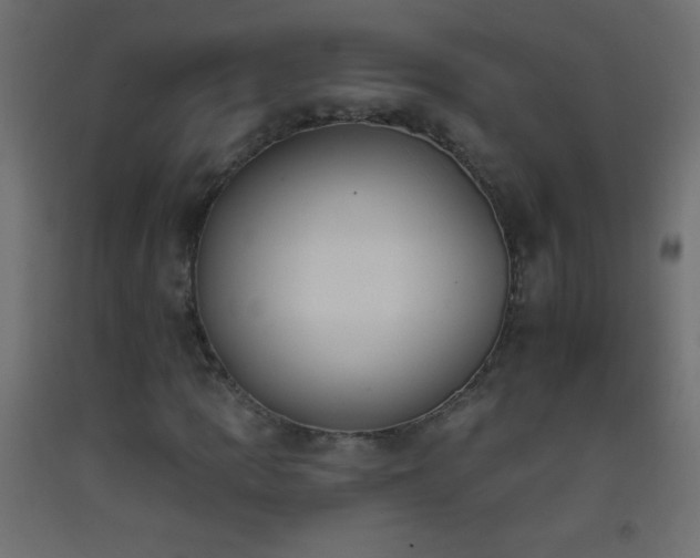 X0000093381109200710111449