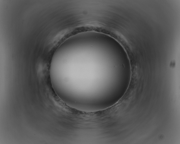 X0000093381110200710111449