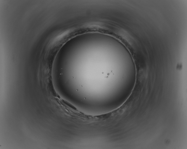 X0000093381111200710111449