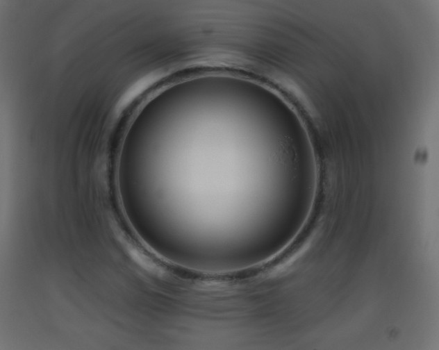 X0000093381114200710111449