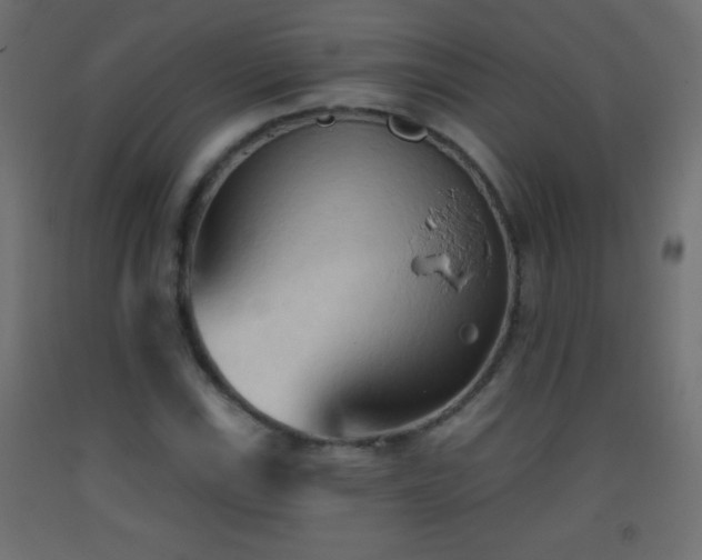 X0000093381115200710111449