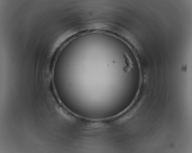 X0000093381117200710111449