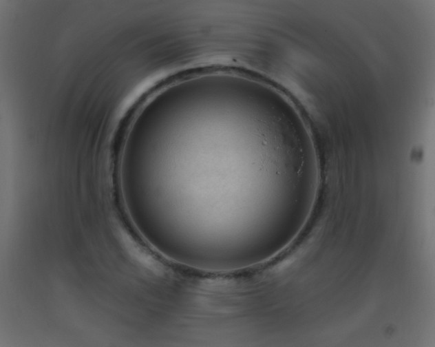 X0000093381118200710111449