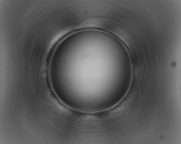 X0000093381119200710111449