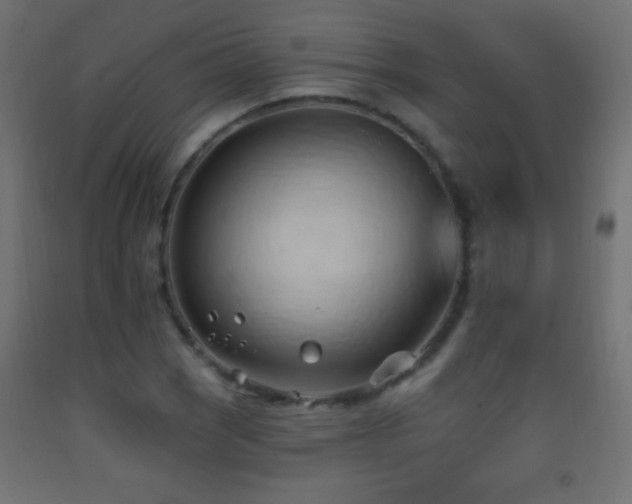 X0000093381121200710111449