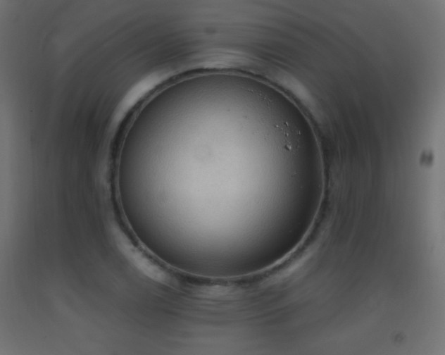X0000093381122200710111449