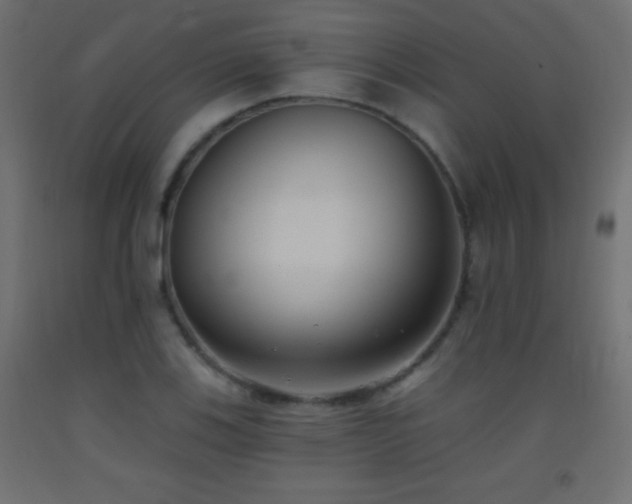 X0000093381123200710111449