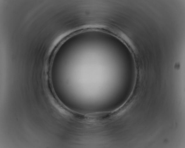 X0000093381124200710111449